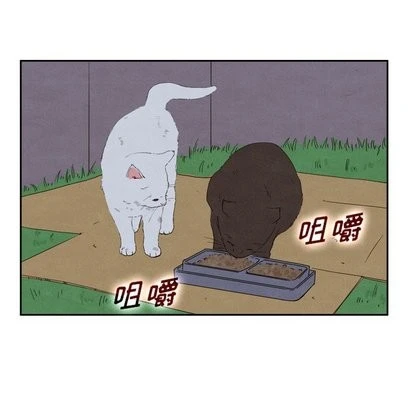 泰珠小姐的完美婚姻生活 第43话 第96页