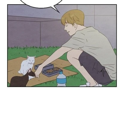 泰珠小姐的完美婚姻生活 第43话 第94页