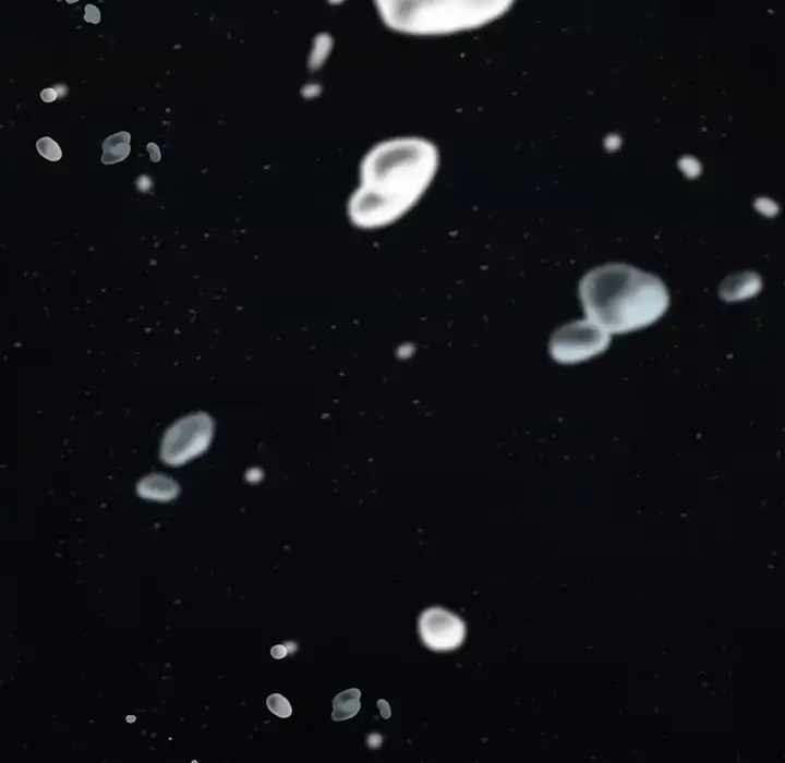 深海兽 第42章 第68页