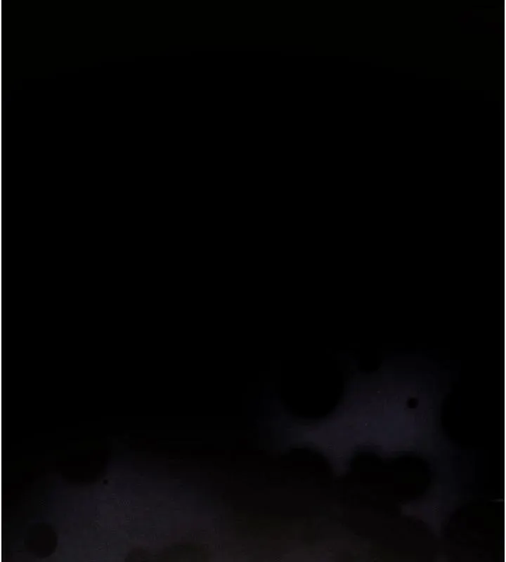 慾海交锋 第74話-在妳體內留下我的印記 第122页