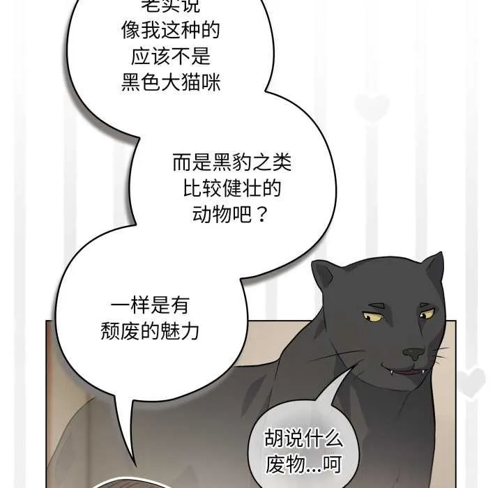 喵来的恋爱 第49話 第17页