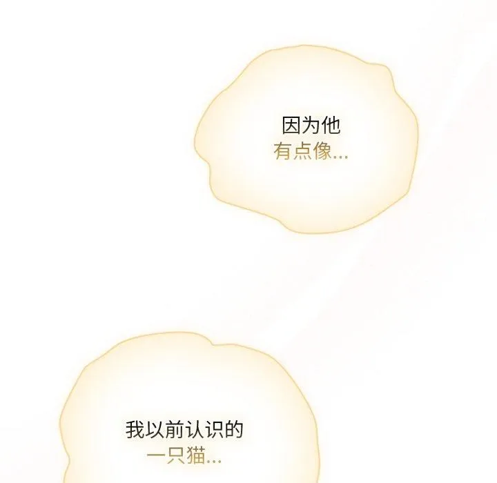 喵来的恋爱 第19話 第72页
