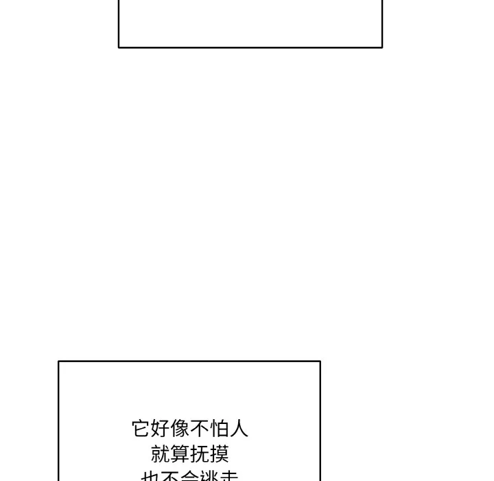 喵来的恋爱 第1话 第84页