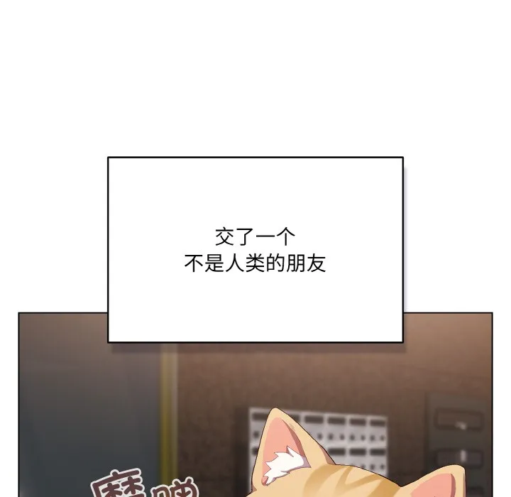 喵来的恋爱 第1话 第70页