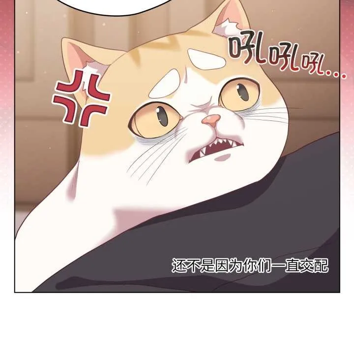 喵来的恋爱 第38話 第125页