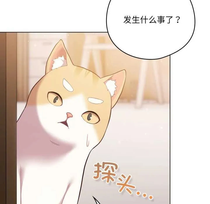 喵来的恋爱 第46話 第141页