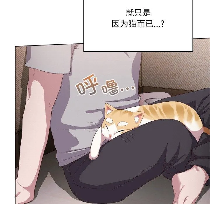 喵来的恋爱 第4话 第43页