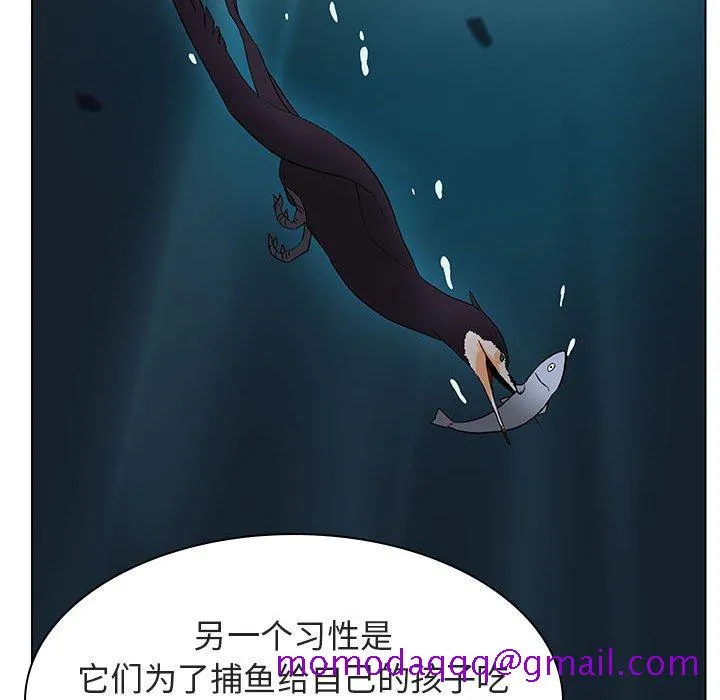 秘密合约 第12章 第146页