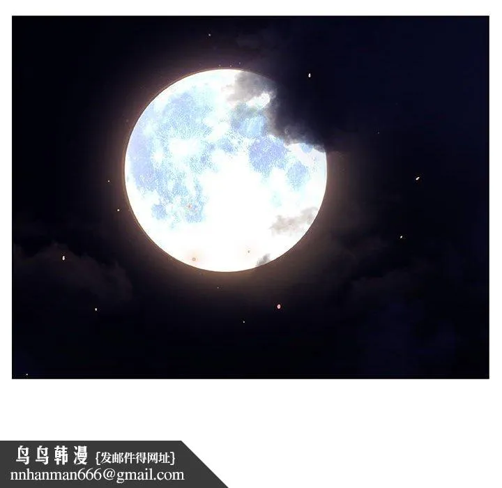 秘密合约 第25章 第88页