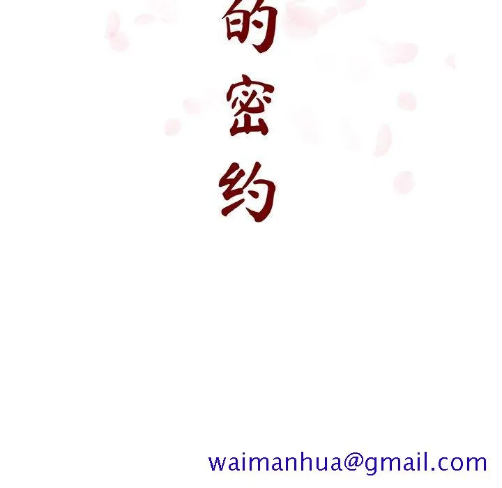 秘密合约 第33章 第31页