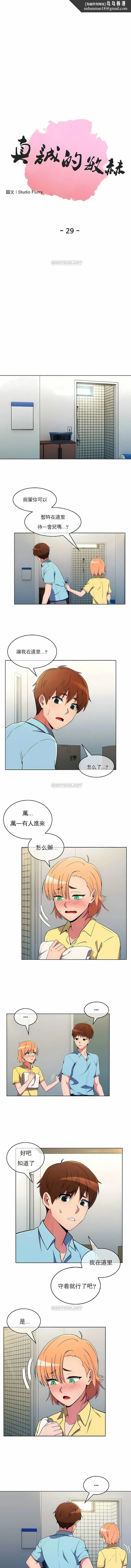 真诚的敏赫 第29话 第1页