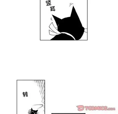 小僵尸与他的魔女妈妈 第23章 第11页