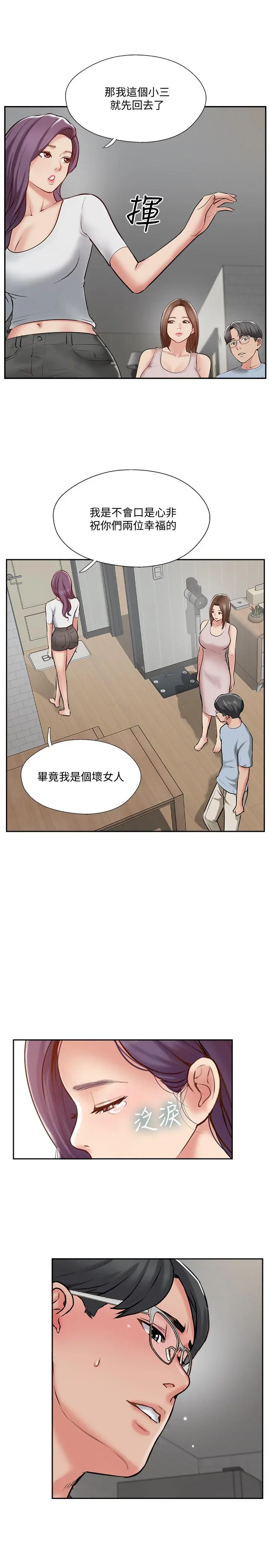 完美新伴侣 第48话-想与已婚男重新开始的小三 第17页