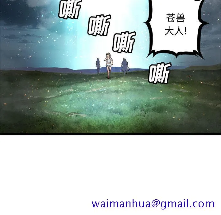 她的召唤兽 第19章 第31页