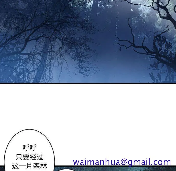 她的召唤兽 第38章 第31页