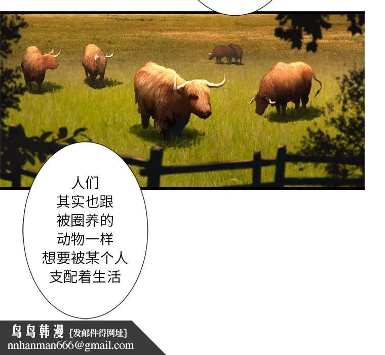 她的召唤兽 第13章 第49页