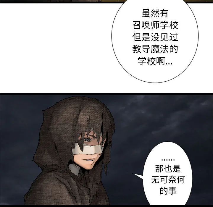 她的召唤兽 第14章 第52页