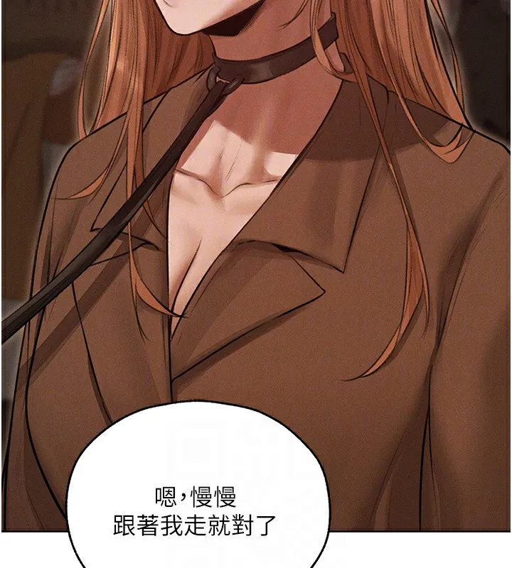 异界猎妻人 第84話-陪貴夫人享受圍觀砲 第22页