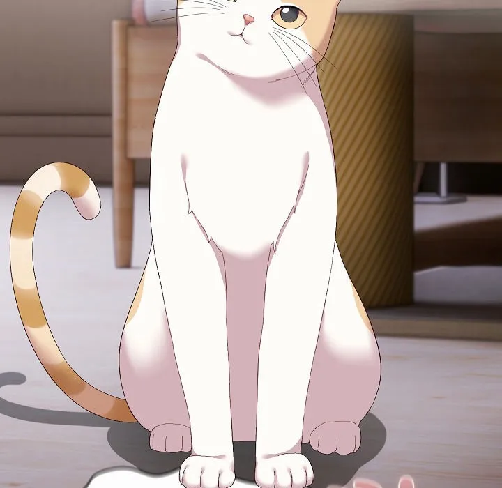 猫猫牵红线 第2话 第207页