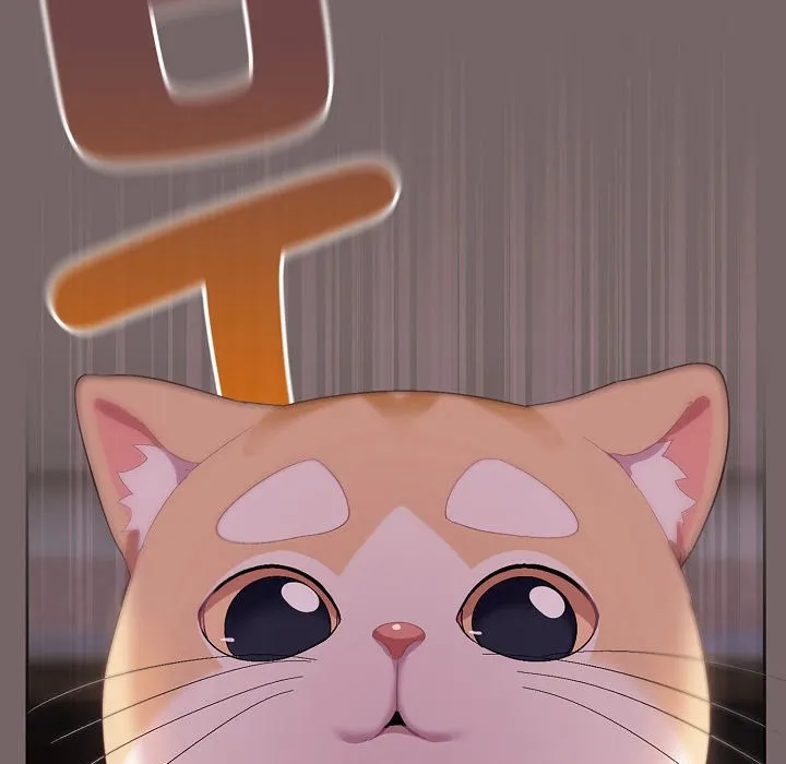 猫猫牵红线 第3话 第155页