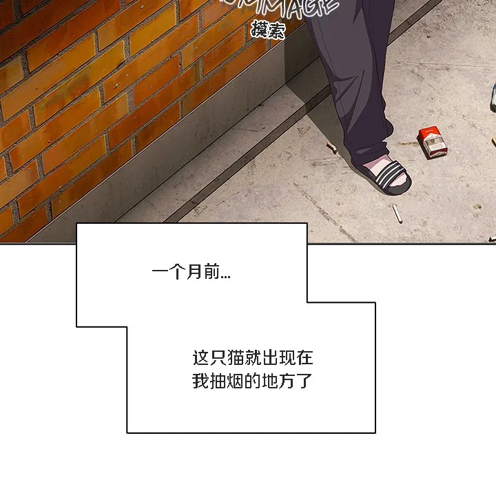 猫猫牵红线 第1话 第80页