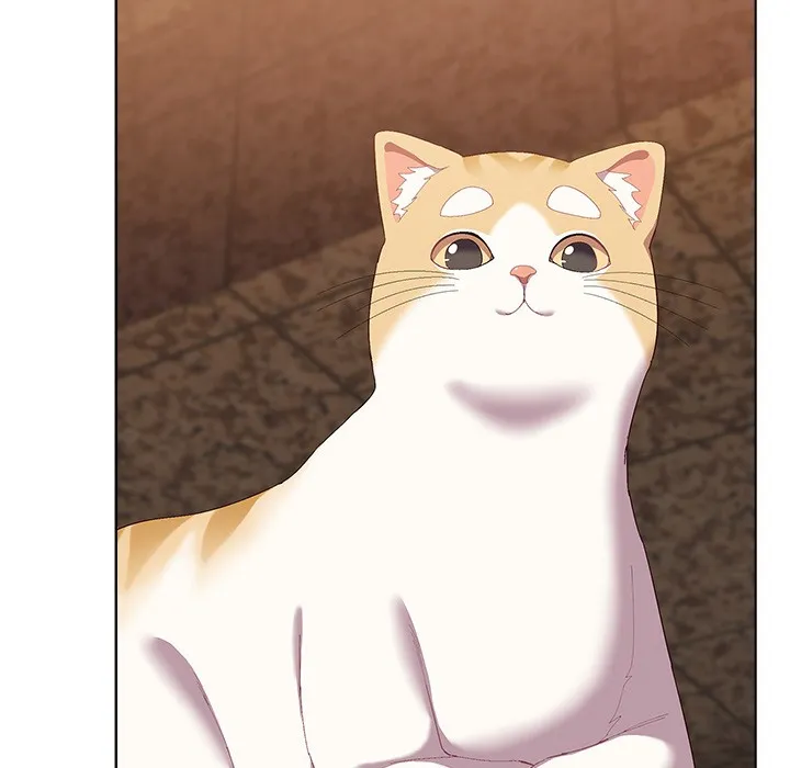 猫猫牵红线 第1话 第105页