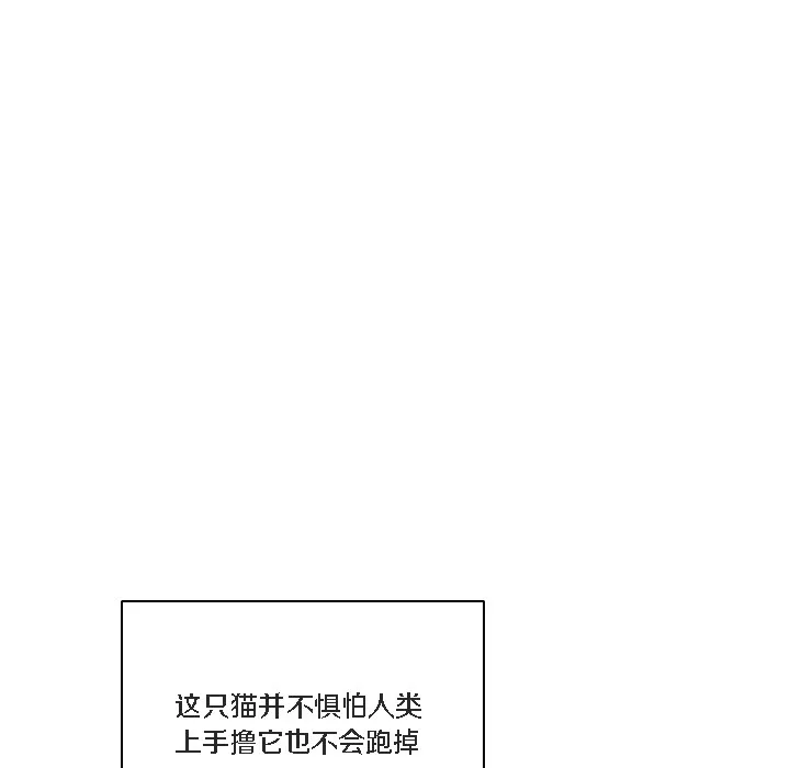 猫猫牵红线 第1话 第81页