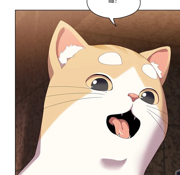 猫猫牵红线 第1话 第176页