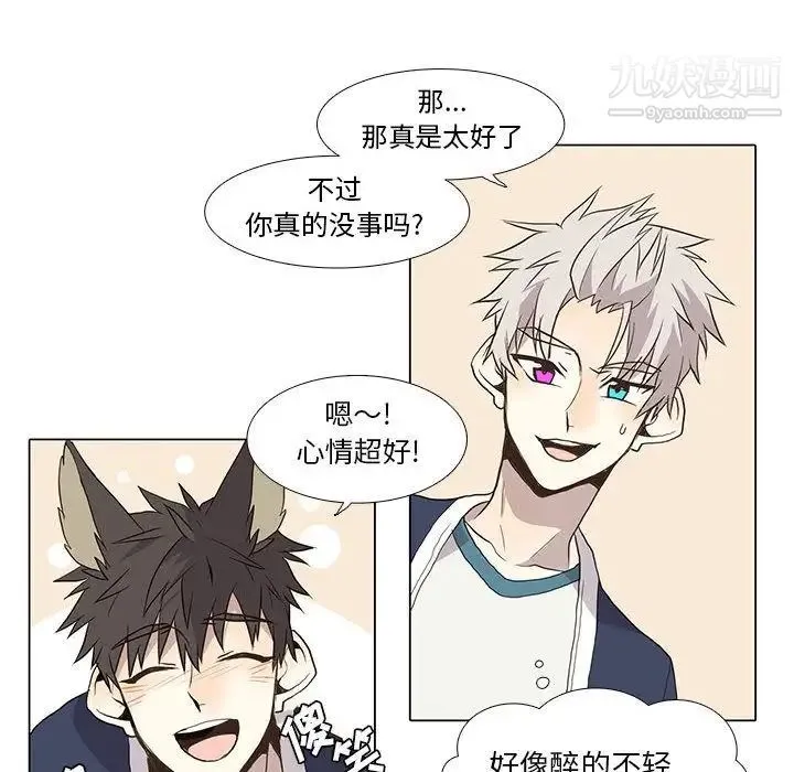 野性之城 第28章 第44页