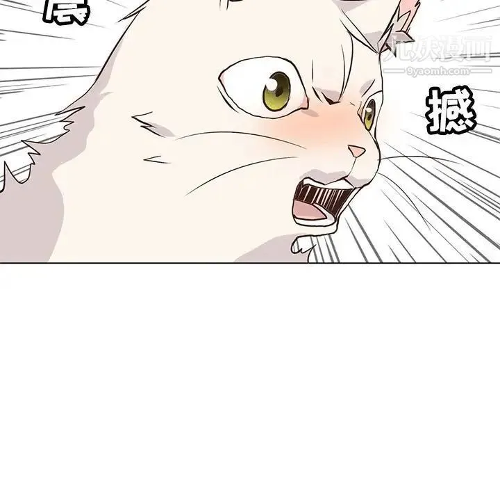野性之城 第88话 第38页