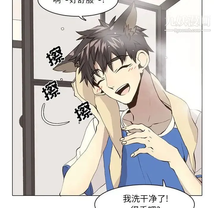 野性之城 第38章 第42页