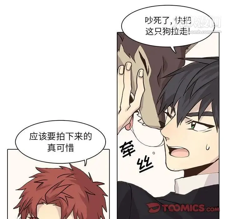 野性之城 第41章 第26页