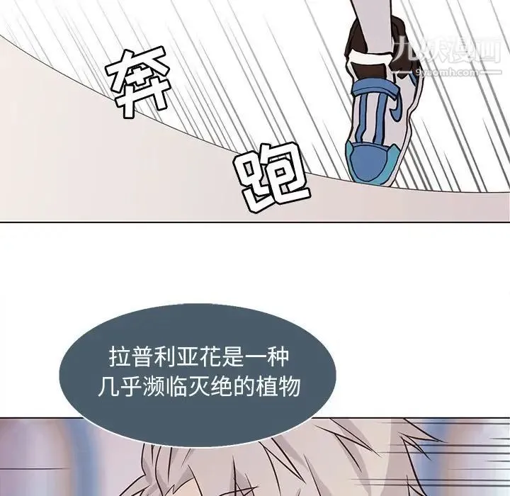 野性之城 第73话 第33页