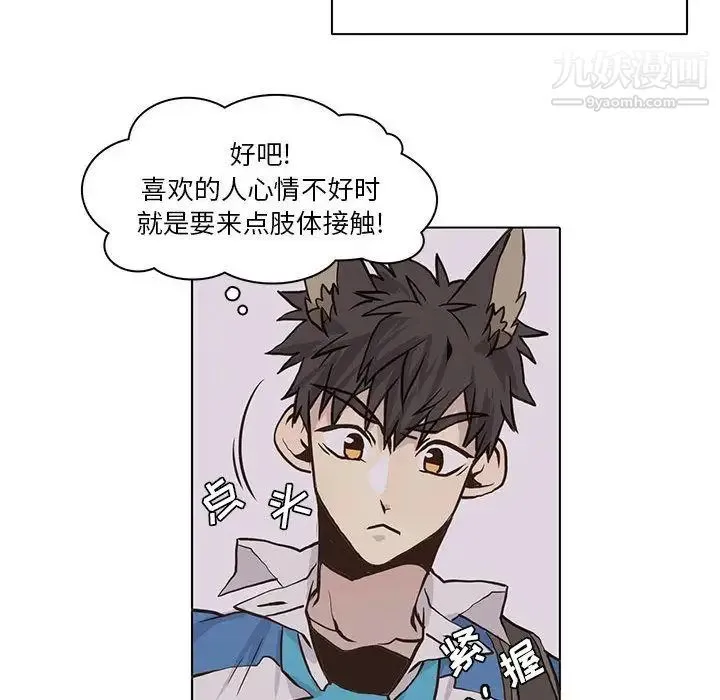 野性之城 第42章 第29页