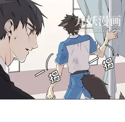 野性之城 第47章 第56页