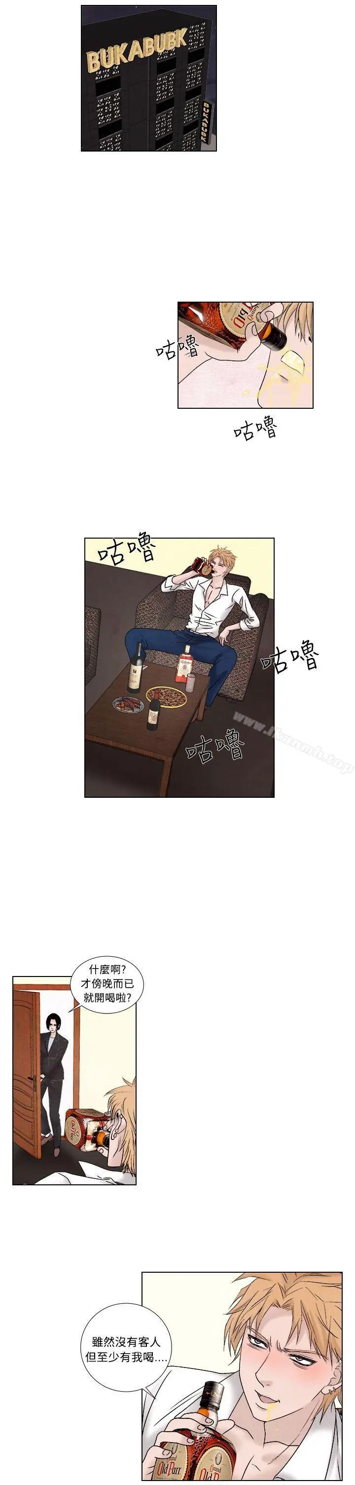 夜花(完结) 第1季最终话 第11页