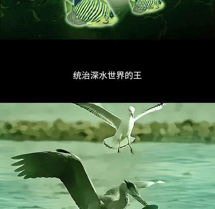 耳畔的神音 第25话 第31页