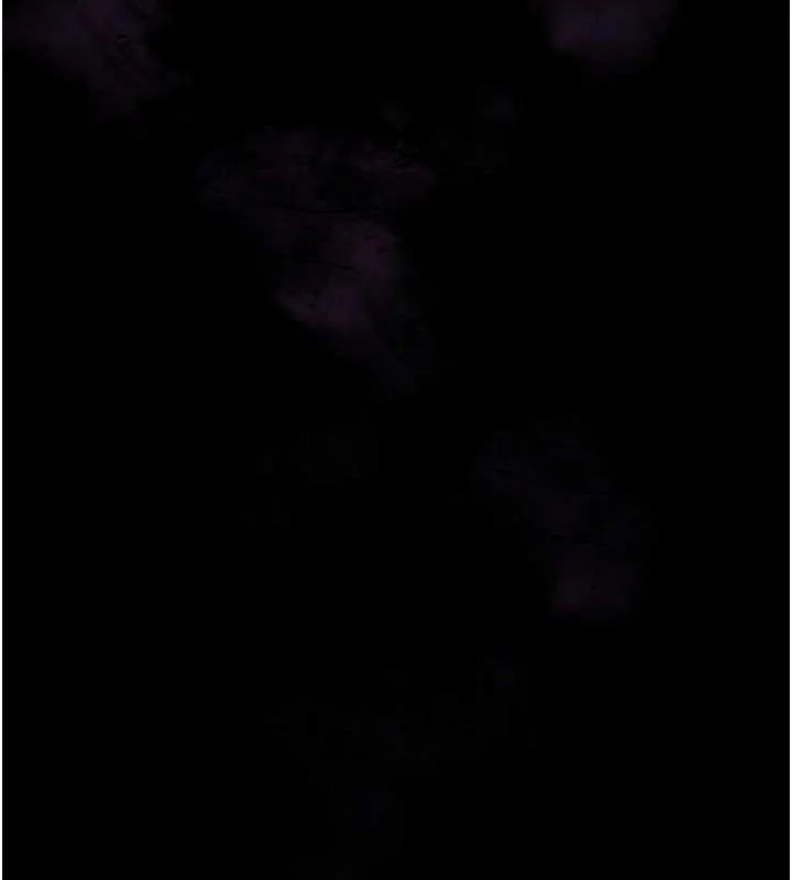 花容湿色:取花点 第56話-上下都被塞滿了 第124页