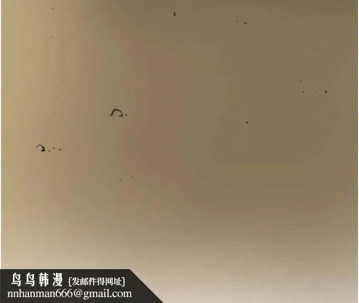 花容湿色:取花点 第77話-醉醺醺的大人亂入 第67页
