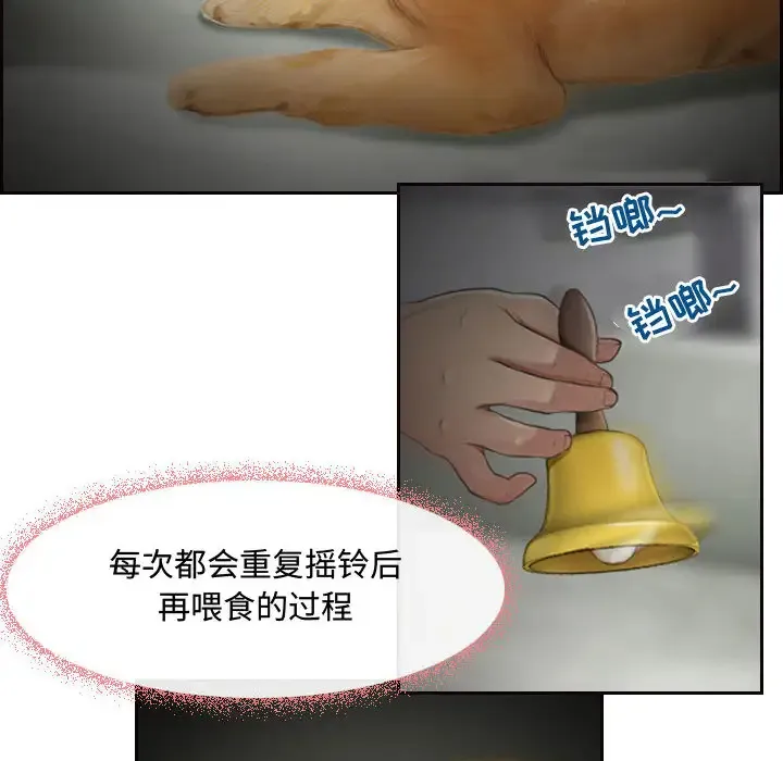 神之嗓音 第61章 第6页