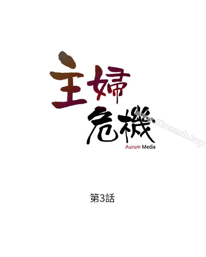 主妇危机 第3话-让人心痒痒的邻居们 第3页