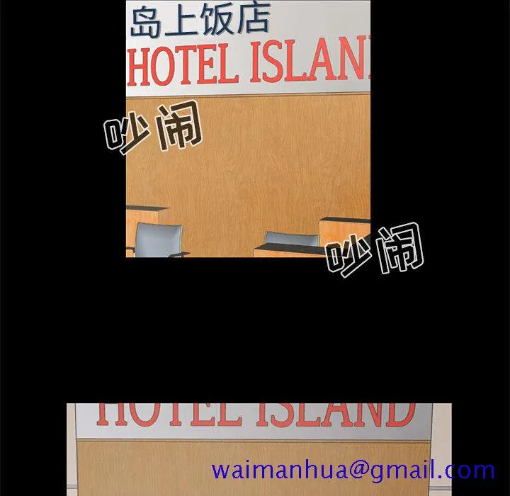 孤岛拼图 第16章 第91页