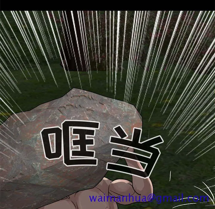 孤岛拼图 第28章 第215页
