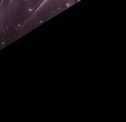 巫女 第48章 第48页