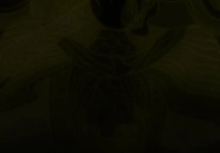 巫女 第25章 第3页