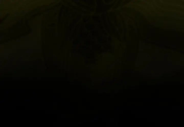 巫女 第30章 第4页