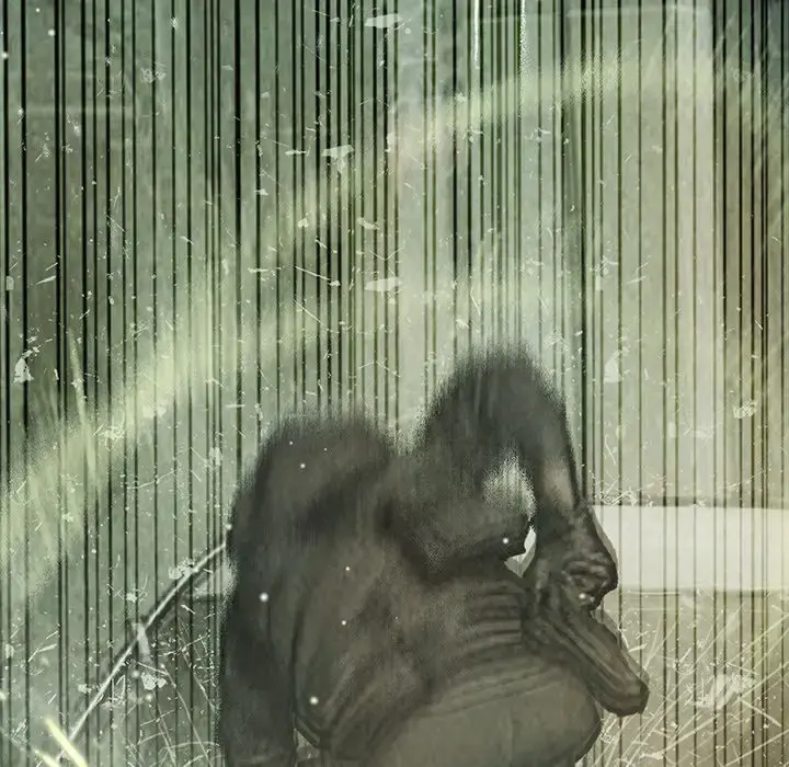 巫女 第37章 第35页