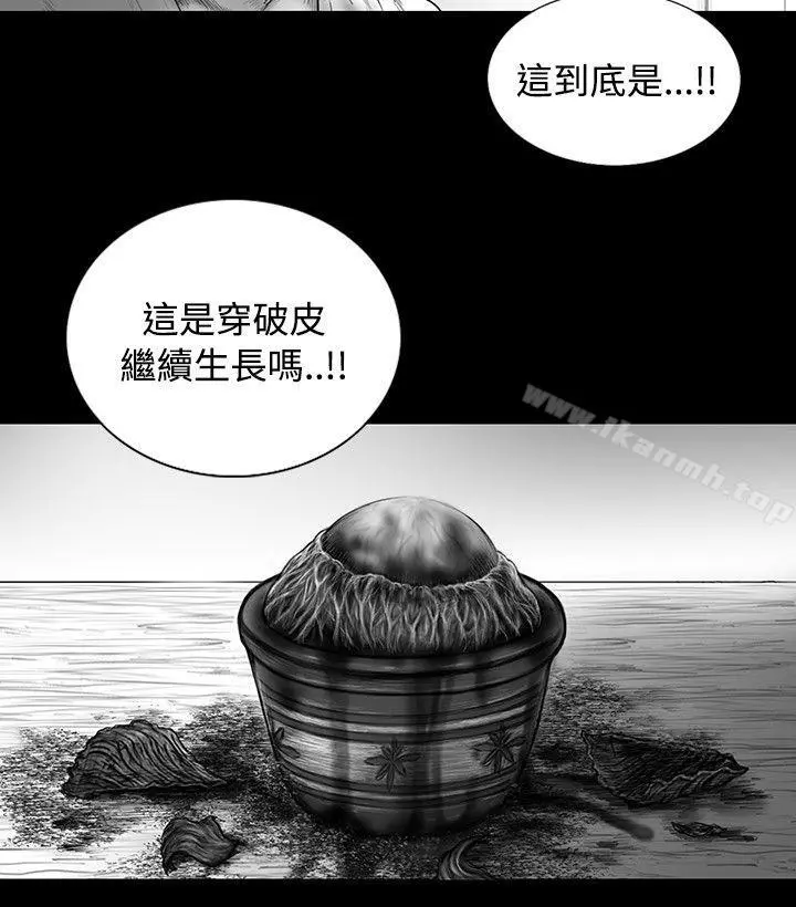 SEEDTheBeginning 第15话 第2页