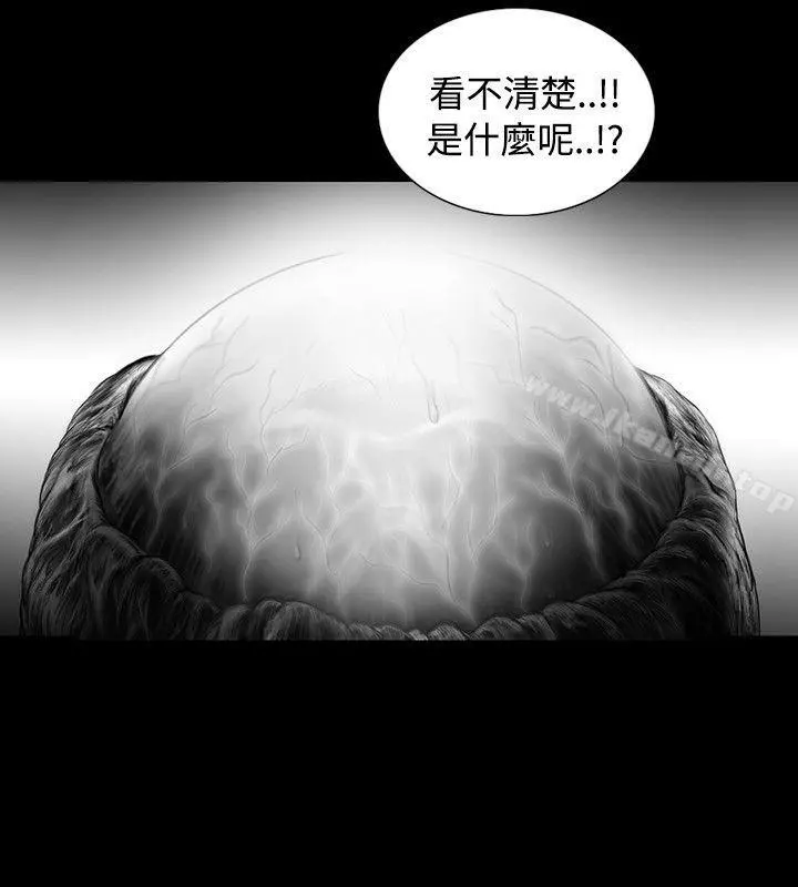 SEEDTheBeginning 第15话 第4页