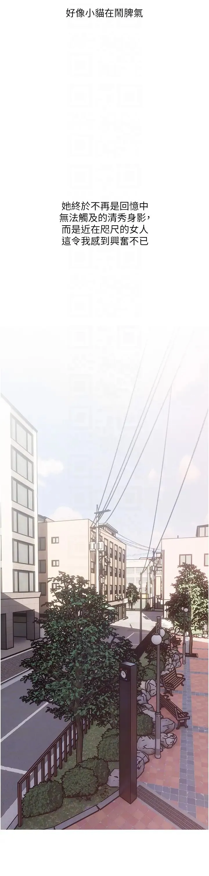 糖果爸爸的抢婚大作战 第3话-宝贝~我要进去啰 第34页